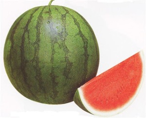 Mengenal berbagai jenis semangka 3